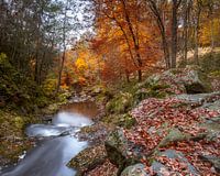 River Ninglinspo