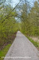 Un chemin vers l'avenir