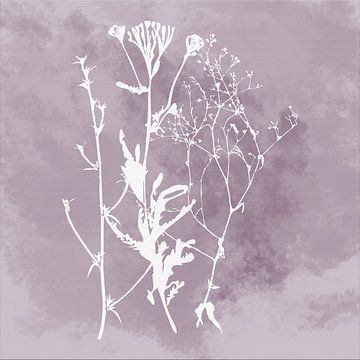 Nuvole di Prato. Abstrait Botanique Minimaliste en mauve argenté lilas rétro sur Dina Dankers