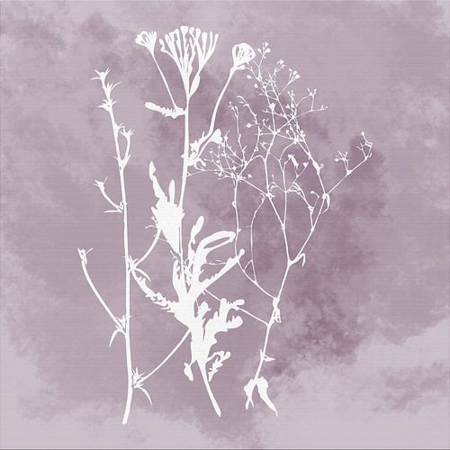 Nuvole di Prato. Abstrait Botanique Minimaliste en mauve argenté lilas rétro