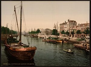 Leuvehaven, Rottterdam