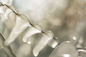 Ijspegels op een koude winterdag van JWB Fotografie