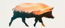 La nature dans le sanglier sur Poster Art Shop