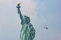 Freiheitsstatue, New York von Johnny van der Leelie Miniaturansicht