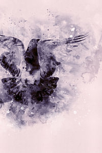Die Taube | Aquarell mit schwarzer Tinte