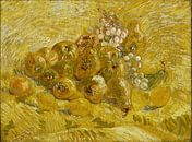 Stillleben mit Quitten, Zitronen, Birnen und Trauben - Vincent van Gogh von 1000 Schilderijen Miniaturansicht
