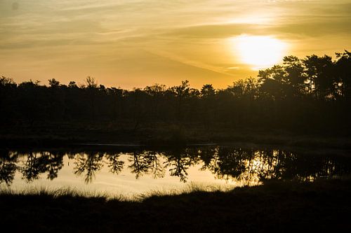 Zonsopkomst