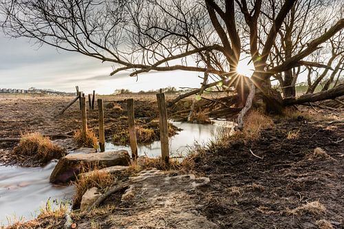 Zonsondergang aan de Maas