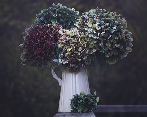 Hortensien in einer Vase (Auflage 10 Stück)