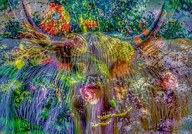 Schottischer Highlander Blumen Edition