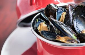 Pan Moules