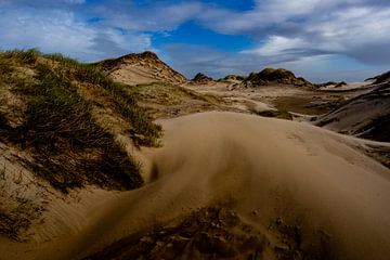 Dunes, une entrée de dune de la plage d'Egmond aan Zee. sur Diana Stubbe