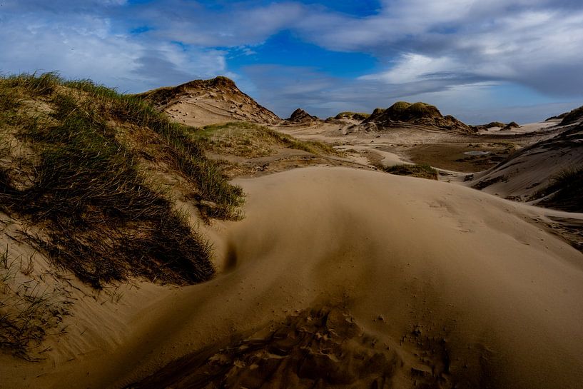 Dunes, a dune entrance from Egmond aan Zee beach. by Diana Stubbe