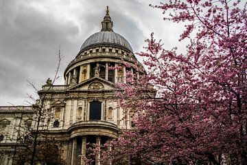 St Paul's Cathedral in the Spring by Nynke Altenburg