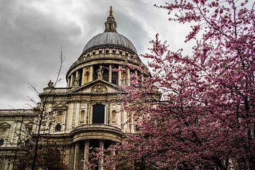 St. Paul's Cathedral im Frühling von Nynke Altenburg