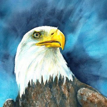 American Bald Eagle Square Watercolour Painting by Karen Kaspar