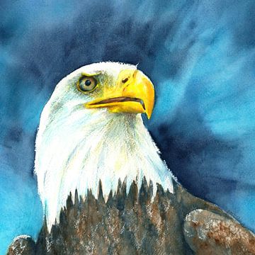 Amerikanischer Weißkopfseeadler quadratisches Aquarellgemälde von Karen Kaspar