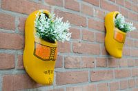 Dutch wooden clogs