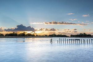 Skaldmeer (Woudbloem)