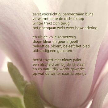 Magnolia met poëzie