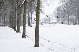 Bavel in sneeuw 1 van Peter Smeekens