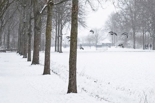 Bavel in snow 1