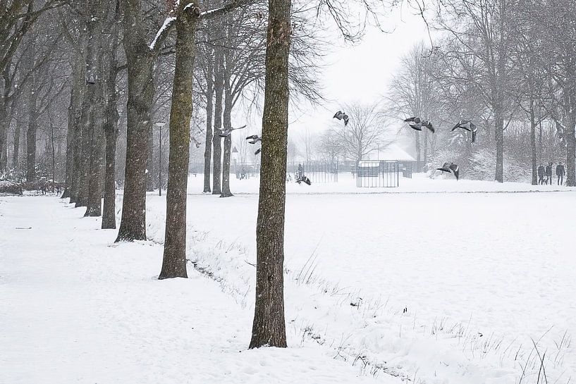 Bavel in sneeuw 1 van Peter Smeekens