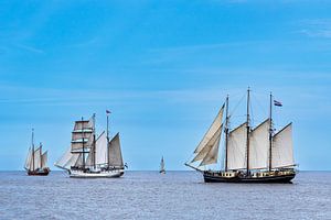 Segelschiffe auf der Ostsee während der Hanse Sail in Rostock