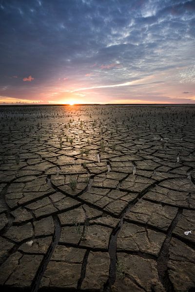 groninger mudflats by Martijn Werkman