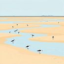 Vogels op het wad bij eb ameland. van J.a Dijkstra thumbnail