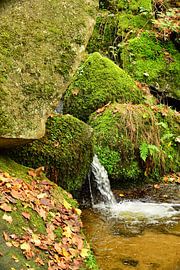 Gebirgsbach Schwarzwald 2.6 von Ingo Laue