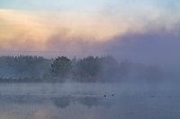 Zonsopgang bij een ven in Noord-Limburg