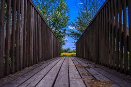 Le pont en bois