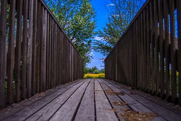 De houten brug van Michael Nägele