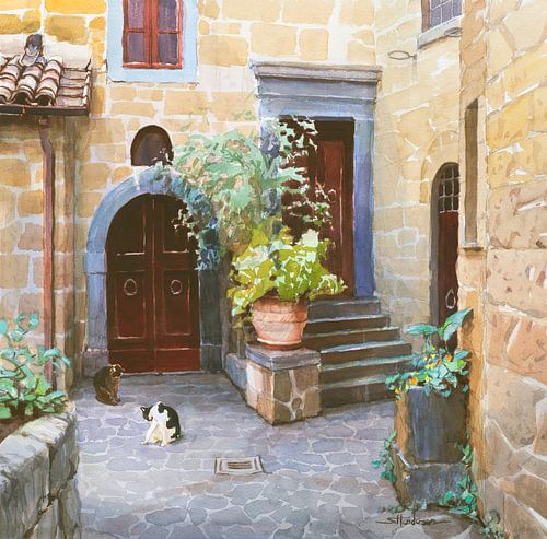 Chats de cour sur Steve Henderson