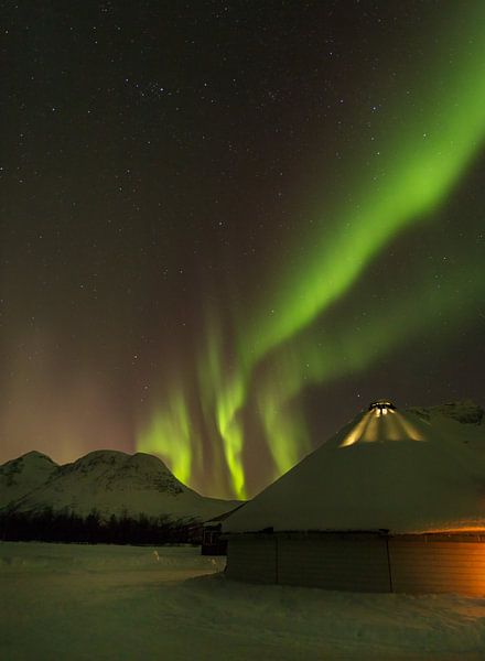 Aurora Borealis by Richard Driessen