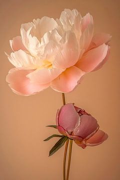 Delicate pioenrozen in pastelkleuren van Poster Art Shop