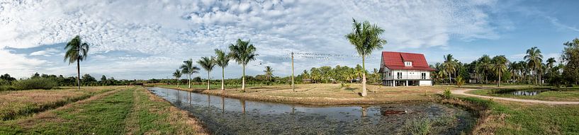 Panorama van Frederiksdorp te Suriname van Michel Groen