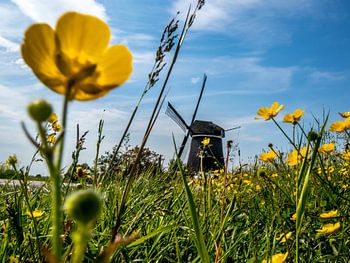 Mühle bei Jisp Nordholland