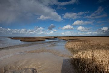 Kiekkaaste blik naar het Oosten van Kars Kuiper