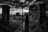 Simetierre. van Emmanuel RAUSSIN thumbnail