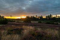 Sonne und dunkle Wolken über Lemelerheide