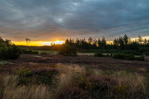Zon én donkere wolken boven de Lemelerheide