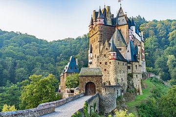 Burg Eltz in Deutschland von Dave Verstappen