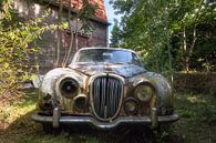 Verloren Jaguar. van Roman Robroek - Foto's van Verlaten Gebouwen thumbnail