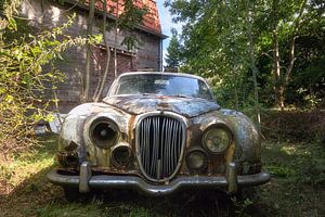 Verloren Jaguar. van Roman Robroek - Foto's van Verlaten Gebouwen