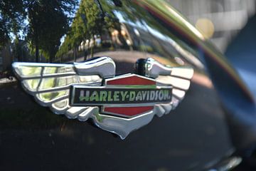 Harley Davidson de legende onder de motorfietsen