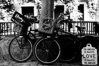 Love in Saint-Tropez