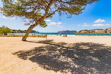 Mallorca zandstrand zee in Santa Ponca, Spanje van Alex Winter