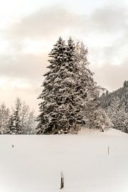 Golden hour winter landscape by Xulé Bogers